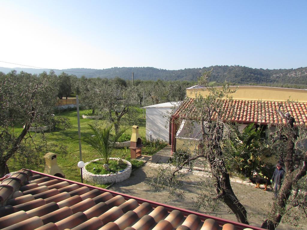 Terra Nostra Vieste